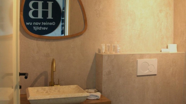 Standaard kamer achterzijde - Hotel Biesbosch