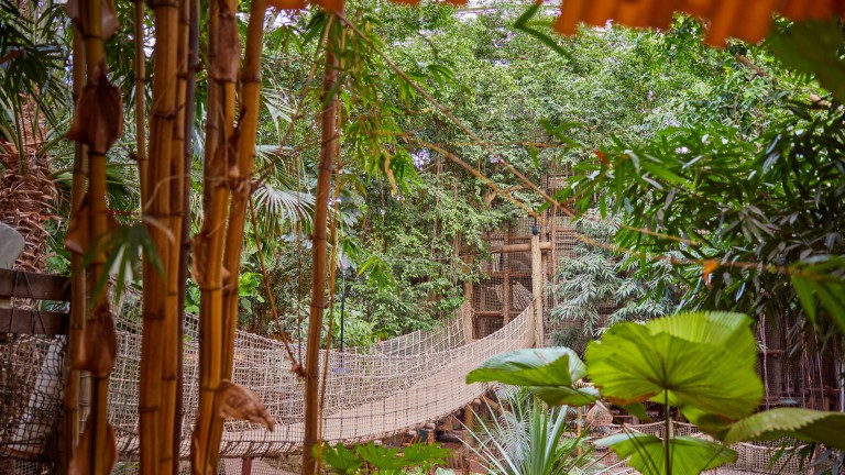 Jungle Dome - Center Parcs Het Heijderbos