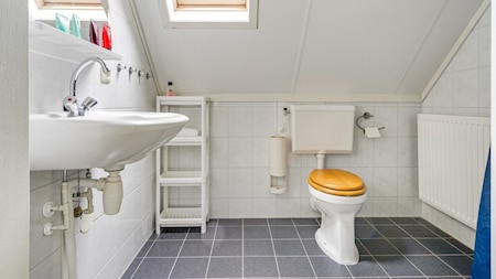 Badkamer - Vakantiepark Drentse Vennen