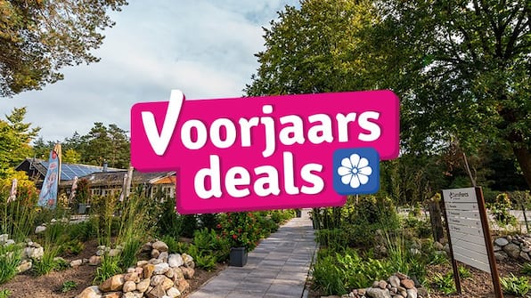 Voorjaarsdeals - Vakantiepark De Wiltzangh Voorjaarsdeals - Vakantiepark De Wiltzangh
