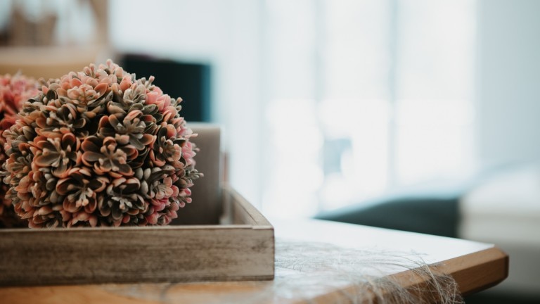 Comfort eenpersoonskamer - Hotel Zur Burg Sternberg