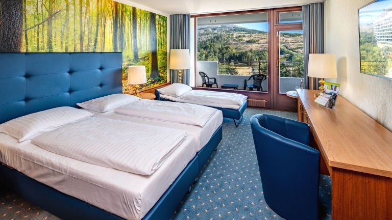 Panorama kamer - AHORN Harz Hotel Braunlage
