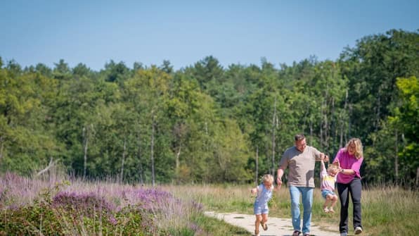 Omgeving - Familie Resort de Tovertuin Omgeving - Familie Resort de Tovertuin