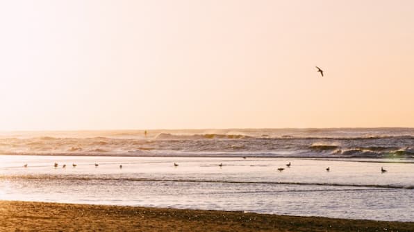 Zandvoort - VerrassiZandvoort - Verrassingshotel Zandvoortngshotel Zandvoort