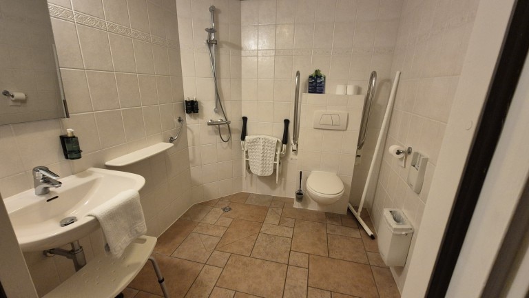 Mindervalidenkamer met terras - Hotel Den Burg