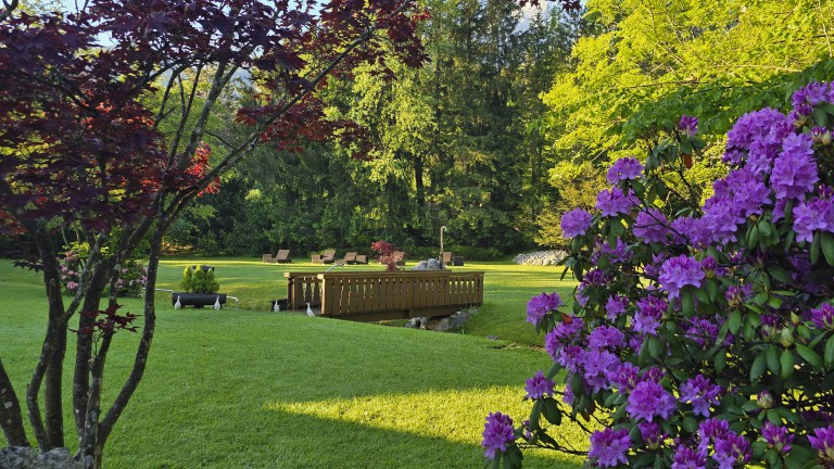 Tuin - Hotel Alpenhof