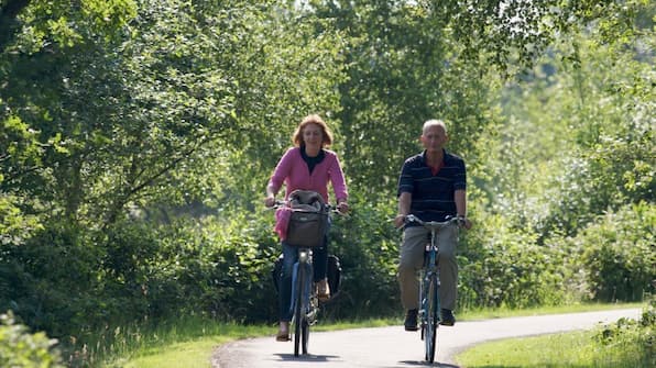 omgeving - Het Wapen van Drenthe