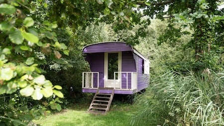 Buitenaanzicht - Duincamping De Lepelaar