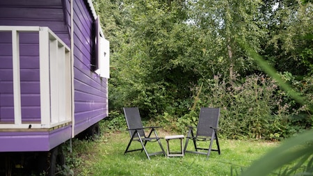 Terras - Duincamping De Lepelaar