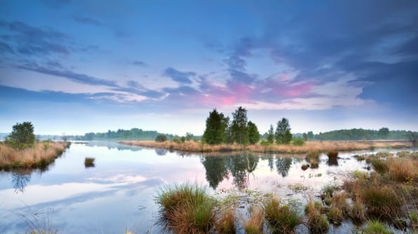 Omgeving - Fietsvakantie door de kop van Drenthe