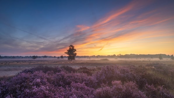 Omgeving - Fietsvakantie dooOmgeving - Fietsvakantie door de kop van Drenther de kop van Drenthe