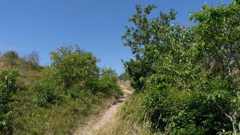 Omgeving - Duincamping De Lepelaar