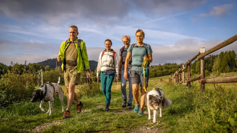 Wandelingen met hond - Der Wolfshof