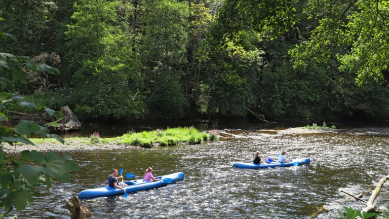 Rivier - Camping Floreal La Roche-en-Ardenne