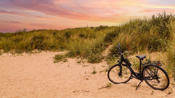 Omgeving - Dormio Strand Resort Nieuwvliet-Bad