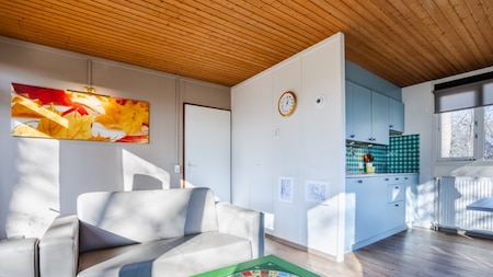 Woonkamer - Landal Twenhaarsveld