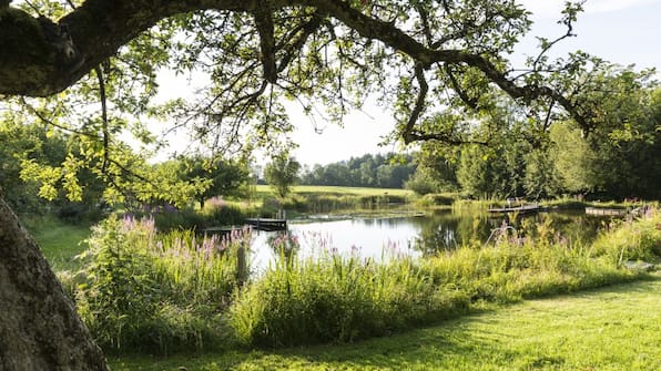 Natuurvijver - Hotel Hammerwirt