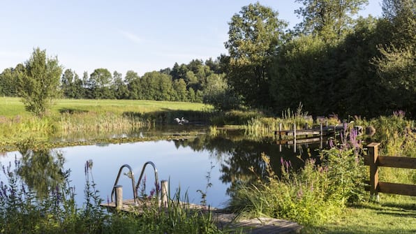 Natuurvijver - Hotel Hammerwirt