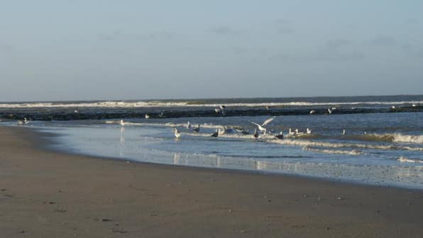 Vlieland - De Herbergh van Flielant