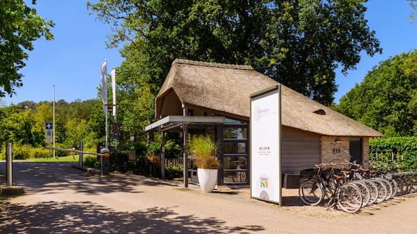 Receptie - Dormio Park Scorleduyn Receptie - Dormio Park Scorleduyn