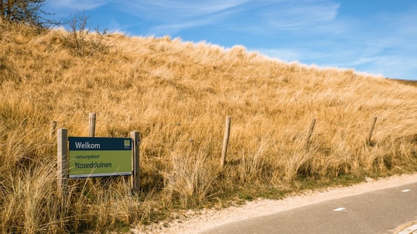 Omgeving - Dormio Villapark Duynzicht