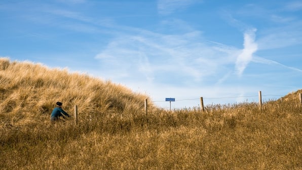 Omgeving - Dormio Villapark Duynzicht