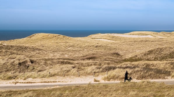 Omgeving - Dormio Villapark Duynzicht