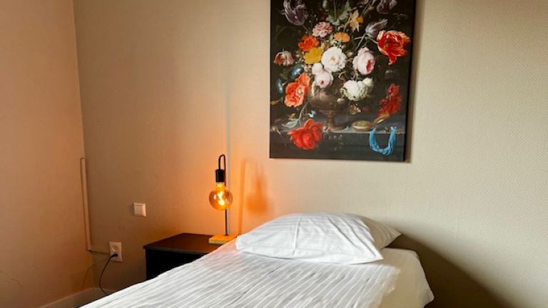 Standaard single room - Boetiek Hotel de Roode Leeuw