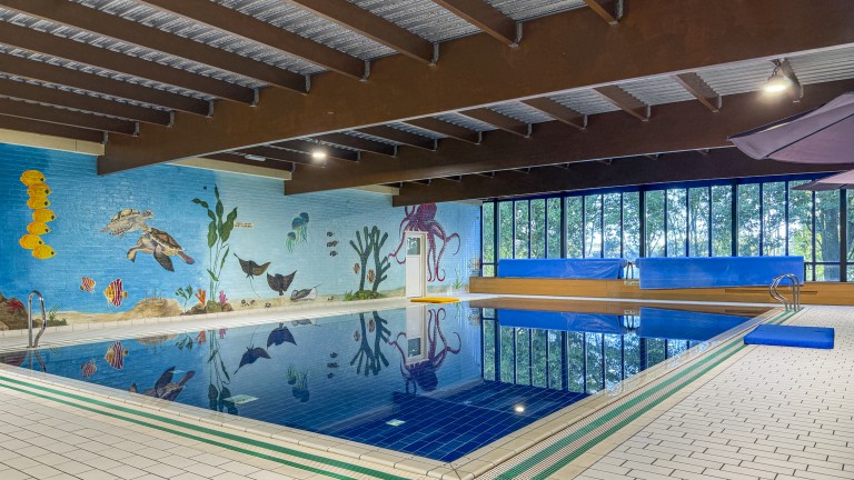 Zwembad - Vakantiepark 't Broeckhuys