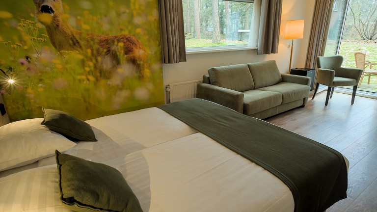 Comfort kamer met terras - Hotel de Stoppelberg