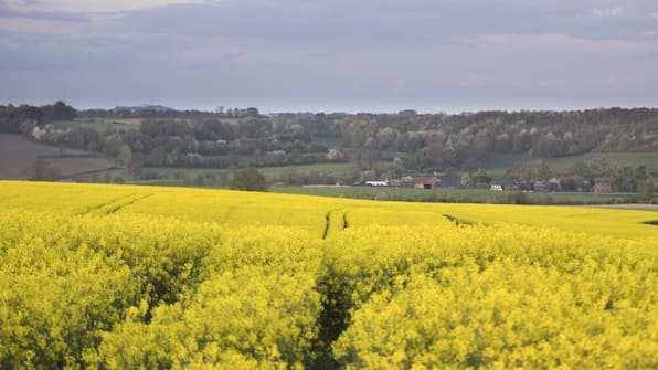 Omgeving - Merici Hotel Sittard Omgeving - Merici Hotel Sittard