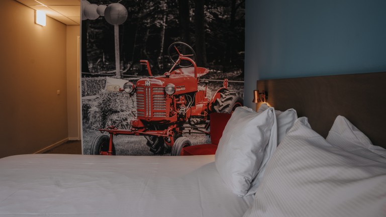 Standaard kamer - Landgoed Mennorode