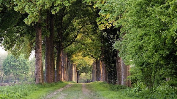 Omgeving - Bilderberg Hotel t Speulderbos