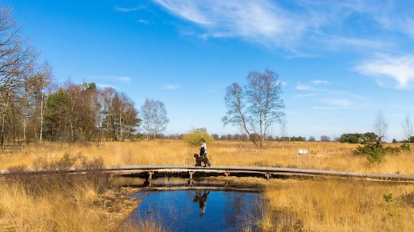 Omgeving - Hotel Kapellerput Heeze Eindhoven