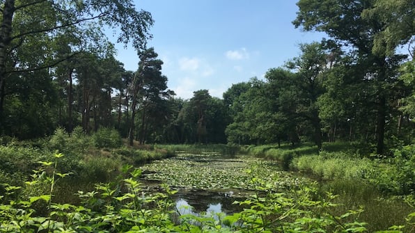 Kapellerput landgoed - Hotel Kapellerput Heeze Eindhoven