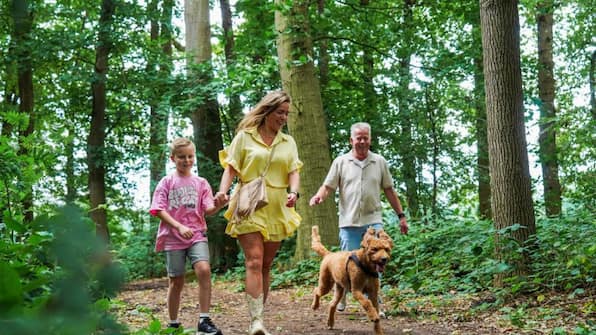 Wandelen - Landgoed Ruwinkel