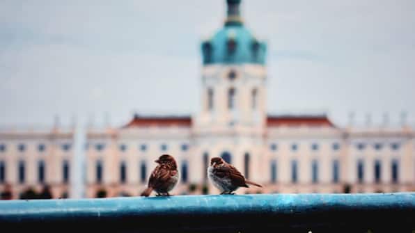 Berlijn - 2daagse busreis Berlijn Berlijn - 2daagse busreis Berlijn