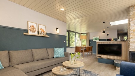 Woonkamer - Center Parcs De Huttenheugte