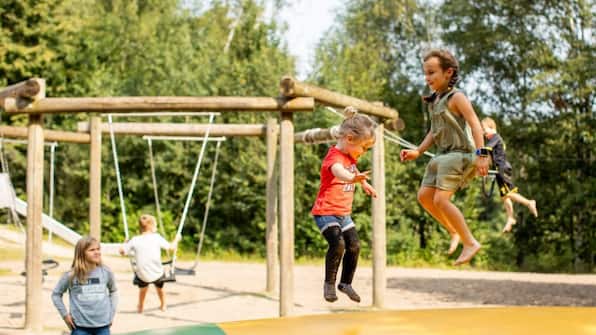 Speeltuin - Arden Parks Baalse Hei