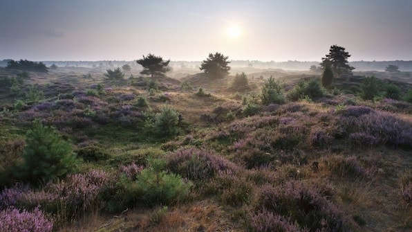 omgeving - Restaurant Hotel Bieze