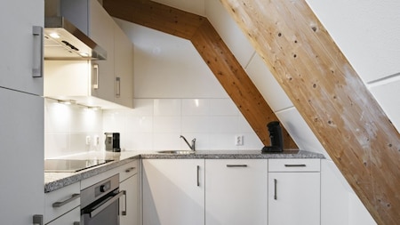 Keuken - Landal Beach Resort Ooghdduyne