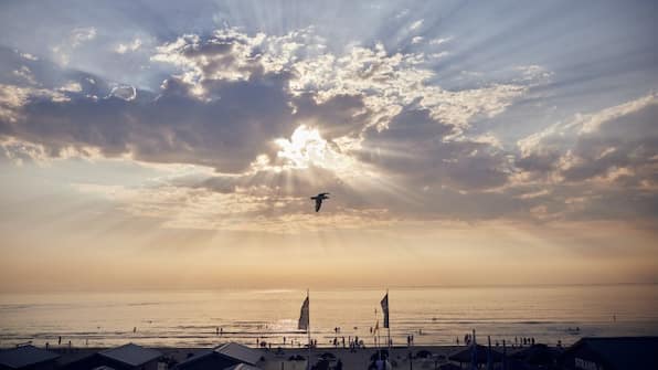 Strand - Center Parcs Park Zandvoort
