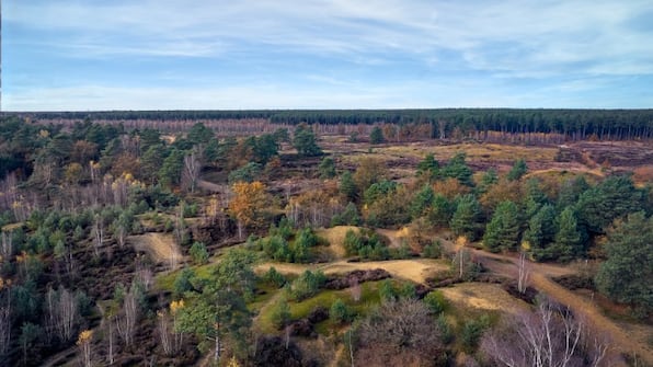 Omgeving - Center Parcs Erperheide