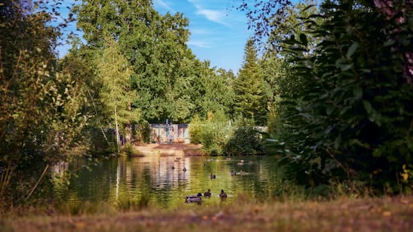 Natuur - Center Parcs Erperheide
