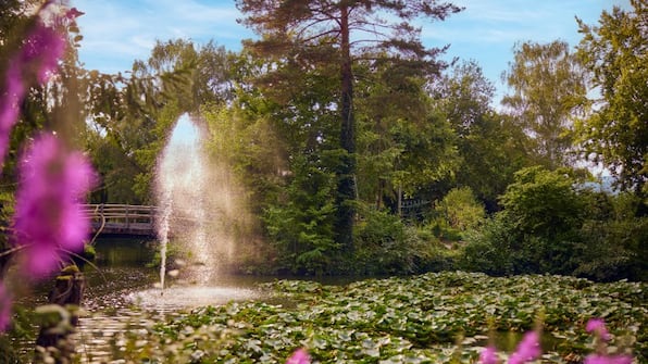 Natuur - Center Parcs Erperheide