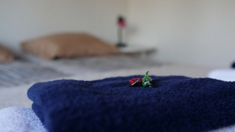 Tweepersoonskamer - BnB Sagenland