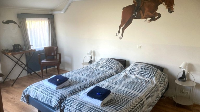 Tweepersoonskamer - BnB Sagenland