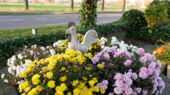 BnB Sagenland - BnB Sagenland BnB Sagenland - BnB Sagenland