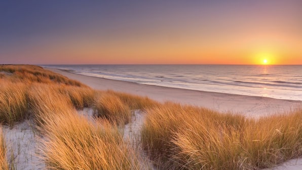 Texel - BnB de Slufterhoeve