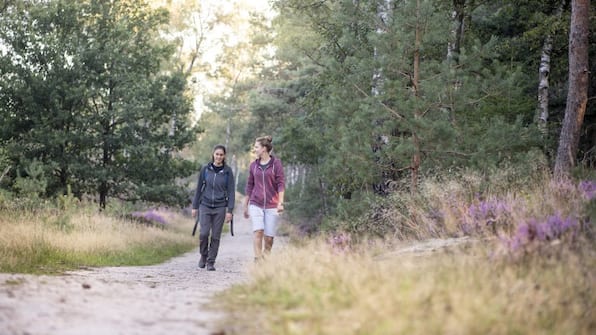 Omgevingsfoto door Lenneke Lingmont - Landgoed De Uitkijk